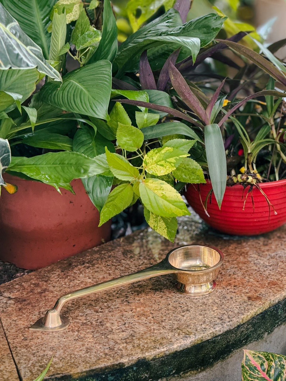 DHOOPAKUTTI ( L )