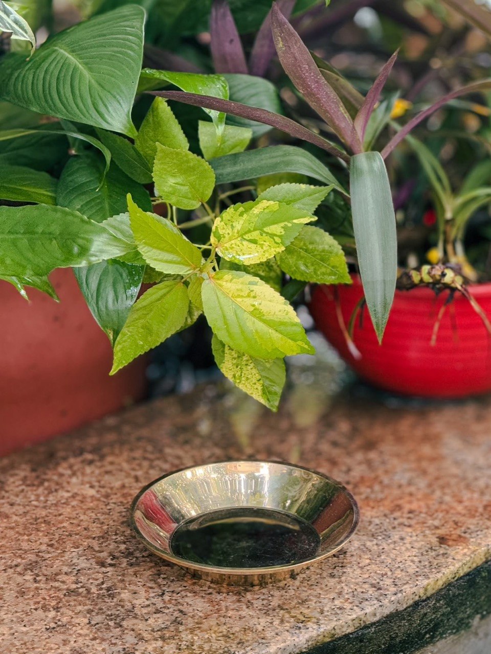 AJYASTHALI ( NEYPATHRAM )